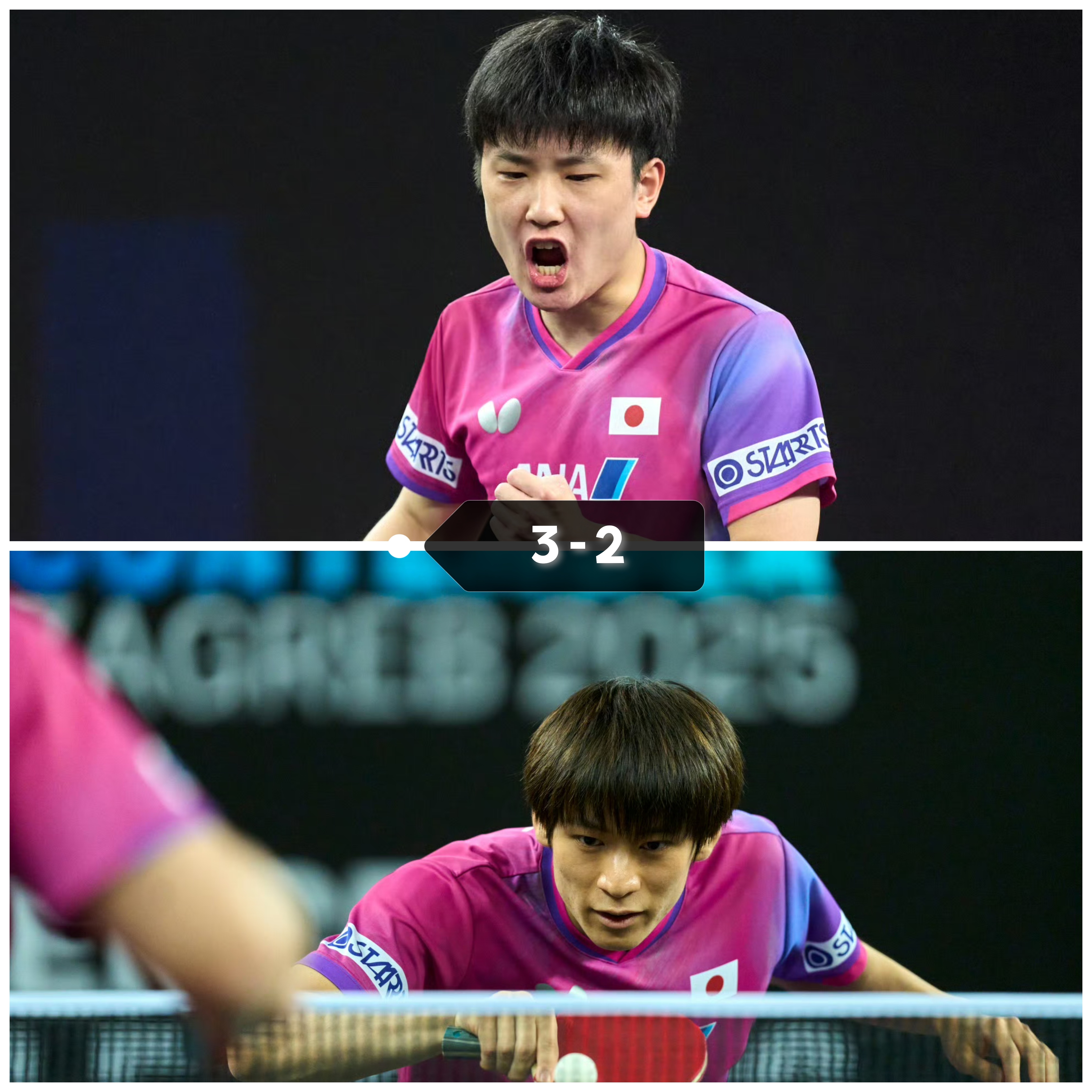 奥地利队绝杀中国队,张本智和带队取胜 奥地利队绝杀中国队,张本智和带队取胜