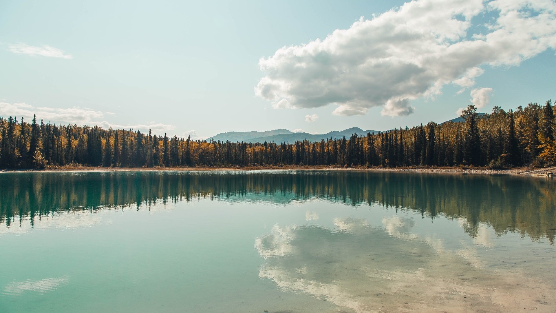 太阳完胜国王,欧文成为关键先生,一场决定性的胜利